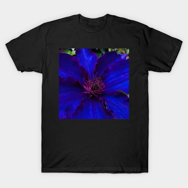 The Deep Quiet Joy of Neon Blue Clematis T-Shirt by Photomersion